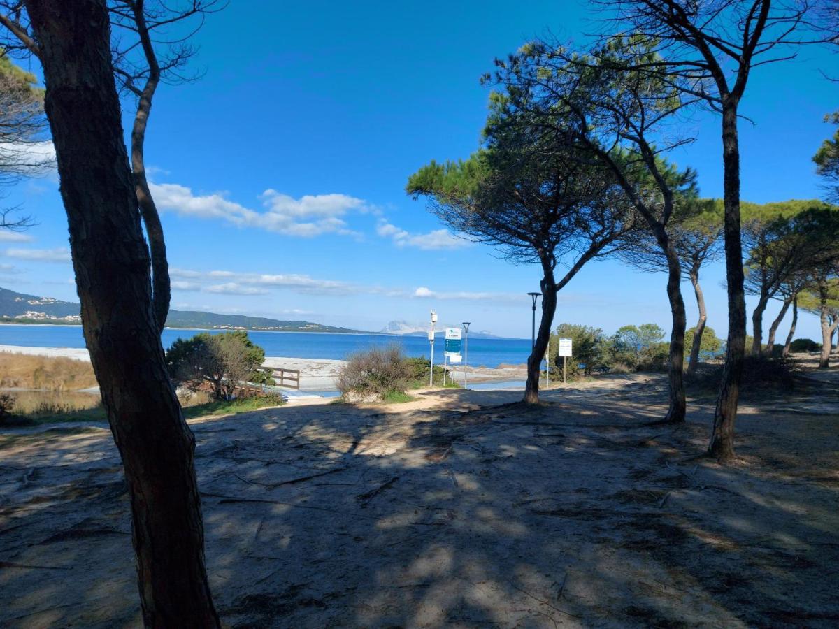 Villetta Gallura 13 Будоні Екстер'єр фото